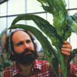 Mike Freeling and Mutant, 1982