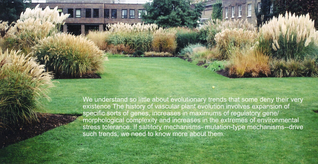 Grasses at Kew Garden